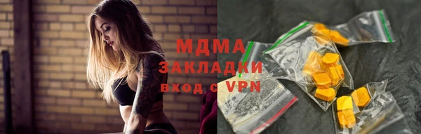 шишки Арсеньев