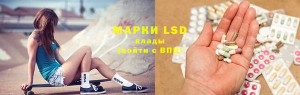 шишки Арсеньев