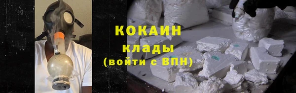 шишки Арсеньев