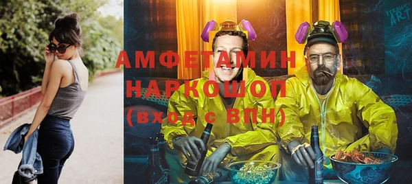 шишки Арсеньев