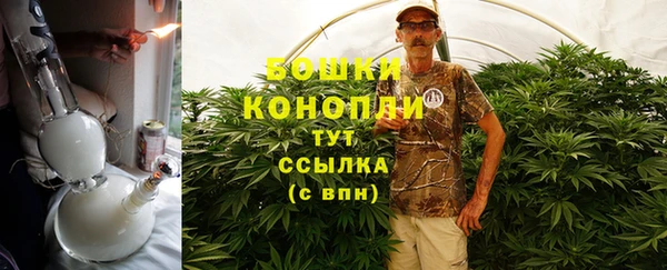 шишки Арсеньев