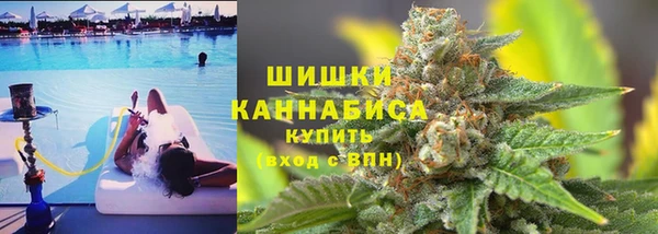шишки Арсеньев