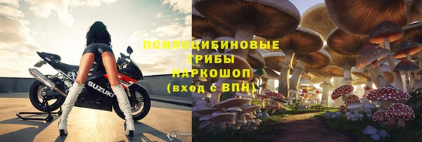 шишки Арсеньев